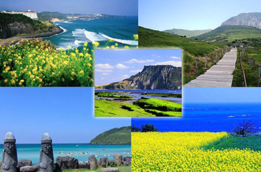 one-day-korea-private-jeju-tour-village-view-jeju-island-8